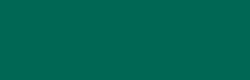 CIACYSTEM - VERDE 600